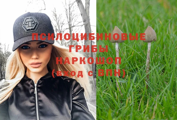 мдпв Балахна