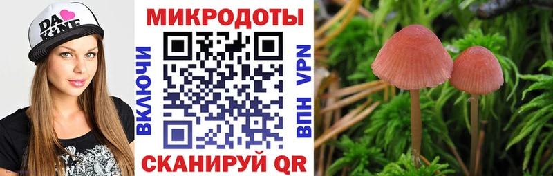 Псилоцибиновые грибы Magic Shrooms  mega ССЫЛКА  Лянтор 